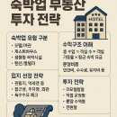 진흥여관 | 숙박업 부동산 투자 전략 – 여행과 비즈니스 사이의 수익을 잡는 법