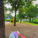 수원 행궁동 맛집: 작은 정원이 보이는 퓨전음식점 ' 온새미로 ' /반려동물 동반가능 , 내돈내산 후기