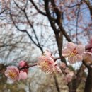 대장나무숲놀이터 이미지