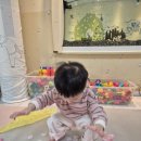 꽃뿐이네 이미지