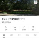 남양주 다산 ) 황금산 유아 숲체험원 무료 숲놀이터 후기｜주차 가는길 / 그물놀이터 모래놀이까지...