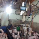 청안농장 이미지