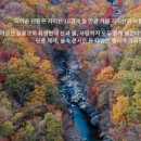 2025년 11월 1일 (토) 가을테마 여행 이미지