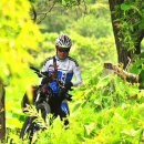 하늘향기 이미지