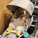 온누리 | 줄즈 에어2 휴대용유모차 베이지컬러 베이비하우스 온누리 내돈내산 구매후기