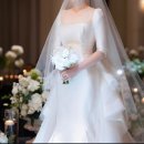 코스모빌딩 | w8. 강경 실크파의 드레스 투어 in 대구 (아르하,라포레,시작바이이명순,브라이드이오니,코스모마리에)