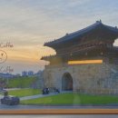 팔레센트 네이버블로그