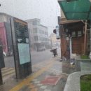 직탕입구-양촌사거리 이미지