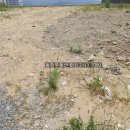 월영동170 이미지