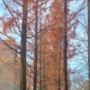 와룡아랫공원 이미지