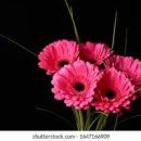 청덕물푸레9단지 이미지