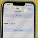 그린마스 | 후쿠오카 버스 그린패스 실시간 사용후기 체력지키고 교통비 아끼는 필수템