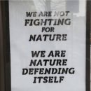 Excerpt from The Patterning Instinct: Can We Transform Our Society for a Flourishing Future? 이미지