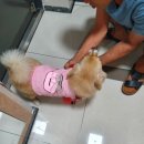 동방치과의원 이미지