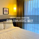 태화세탁 | 울산 태화강 뷰 레지던스 호텔 리버사이드 울산 프리미어 더블룸