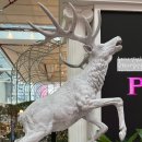 현대야채 이미지