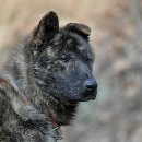 풍산중학교 이미지