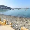 금알공인중개사사무소 이미지