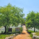 수변공원 정자옆 이미지