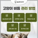 왜관동물병원 이미지