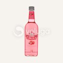 Pink Company(핑크 컴퍼니) 이미지