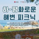 다복비뉴 | 동해시 청년가치성장타운, ‘하-평화로운 해변 피크닉’ 운영