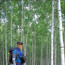 자작나무힐 이미지