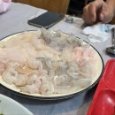 막썰어회해물 티스토리