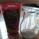 씨앗발전소 이미지