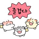 쿨노래연습장 이미지