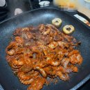 힐링빌리지 | 초안산 캠핑장 - 힐링 캠핑 빌리지 (H18 후기)