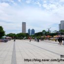 [서울 가볼만한곳] 여의도 한강공원에서 즐긴 피크민 블룸 저니 2026! 걷는 즐거움이 가득했던 주말 나들이