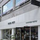 알비노랩 | 대전 파충류샵 디어랩 크레스티드 게코부터 대형 도마뱀까지 DEAR.REP 후기