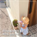 11545-02-05-54 | 가기 좋은 가성비 제주도 산방산 독채하우스 추천, 제주 바다와 산방산을 한눈에, 사계나루 솔직후기🤍