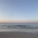 세화 엘라 이미지