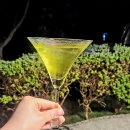 마녹펜션 | 풀하우스 청소사장님의 보홀자유여행(여행정보대공개)