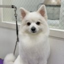 라미살롱 이미지
