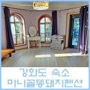 마니꼴똥돼지 펜션 | [강화도 숙소] 강화도 수영장있는 펜션 마니꼴똥돼지펜션 솔직후기
