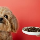 논현동물병원 이미지