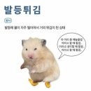 멍든 눈은 텅 비어버린 숲 같아