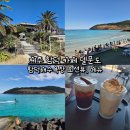 지슬6-2 농로 | 제주 함덕 카페 델문도 함덕해수욕장 오션뷰, 메뉴 후기