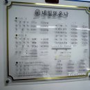 네일또온나