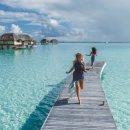 행복한바다 이미지