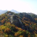 사진마당 이미지