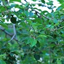 경북여관 이미지