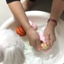 우리크린 이미지