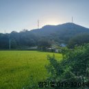 효촌1리마을회관 이미지