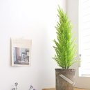 플러스위(+WE) 이미지