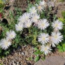 그리몽하우스 이미지