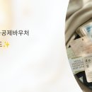 문화비_인터파크_PAYCO도서 | 문화비소득공제바우처 완벽 가이드